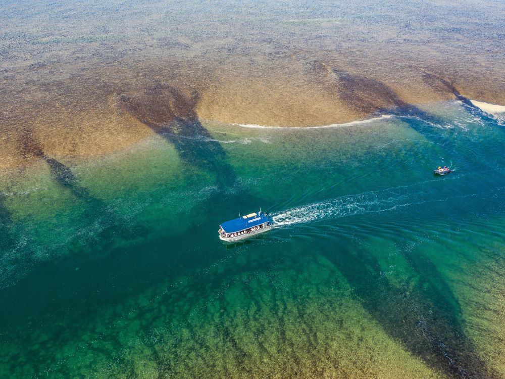 Coral Expeditions